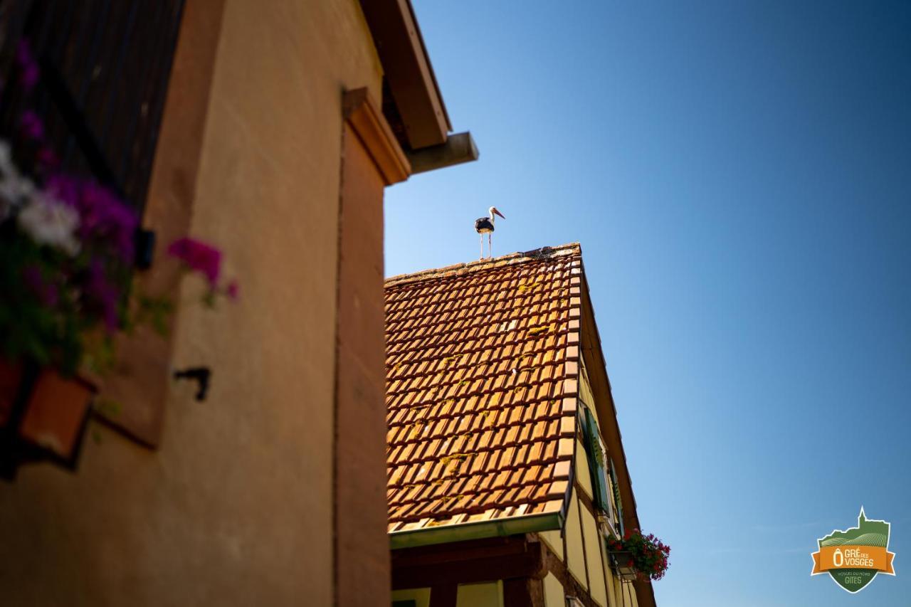Gite O Gre Des Vosges 5 Etoiles Oberbronn, Vosges Du Nord Exterior photo